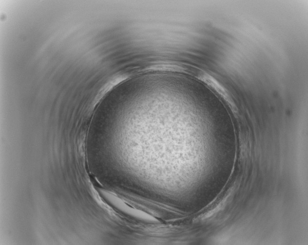 X0000088831049200706281751