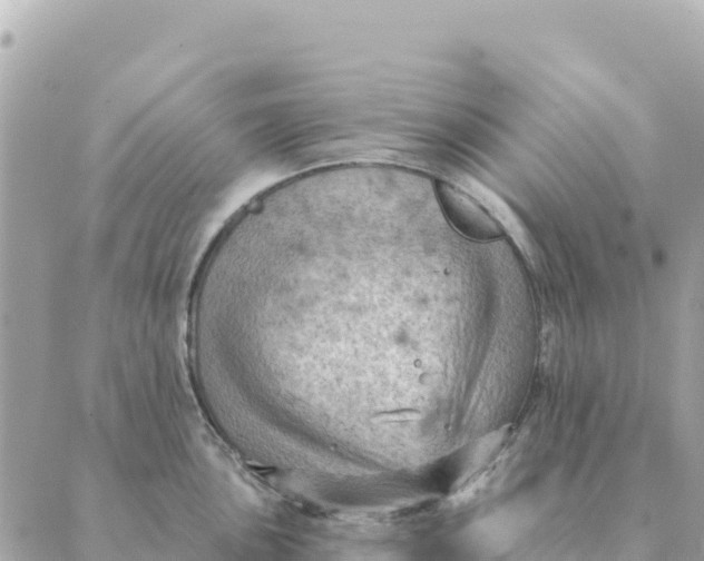 X0000088831051200706281751