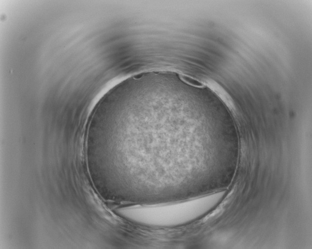 X0000088831052200706281751