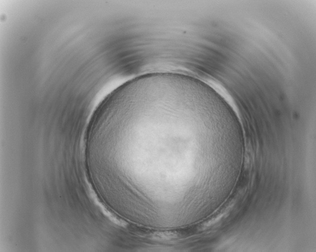 X0000088831053200706281751