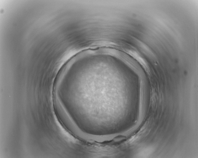 X0000088831055200706281751