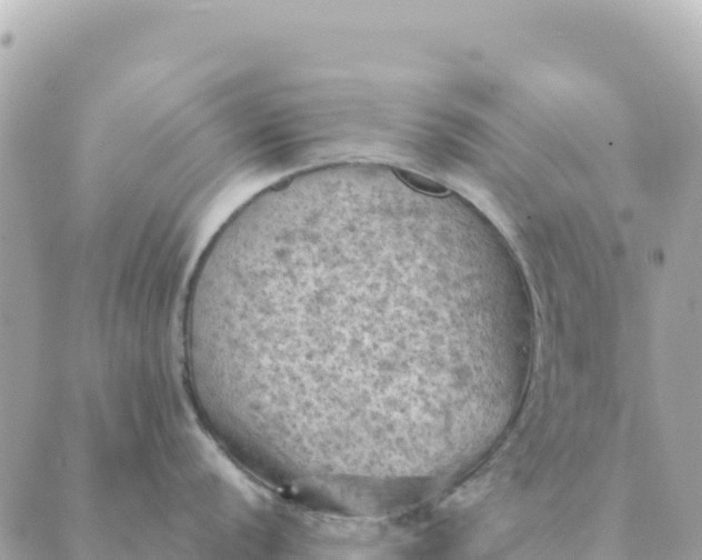 X0000088831056200706281751