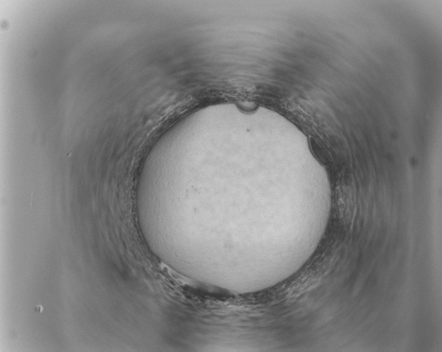 X0000088831057200706281750