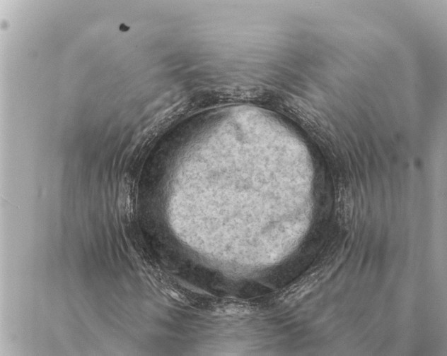 X0000088831058200706281750