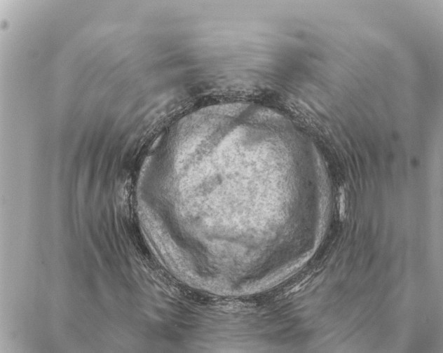 X0000088831059200706281750