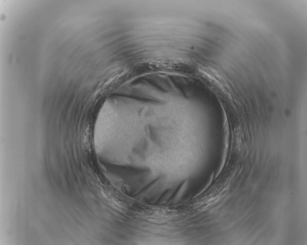 X0000088831060200706281750