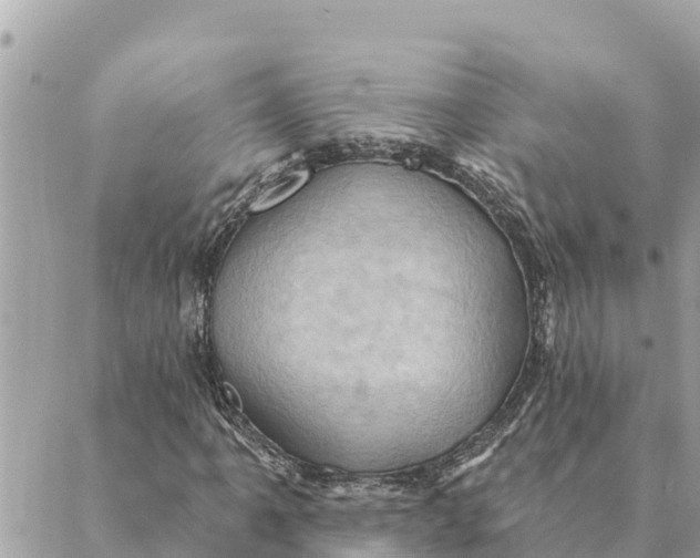 X0000088831061200706281750