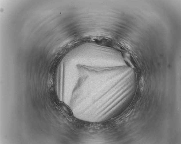 X0000088831062200706281750