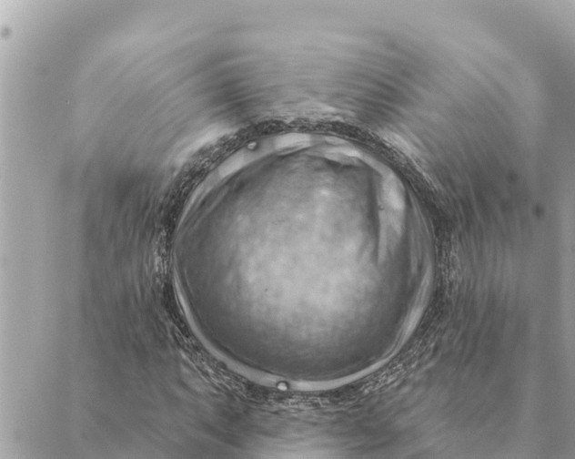 X0000088831063200706281750