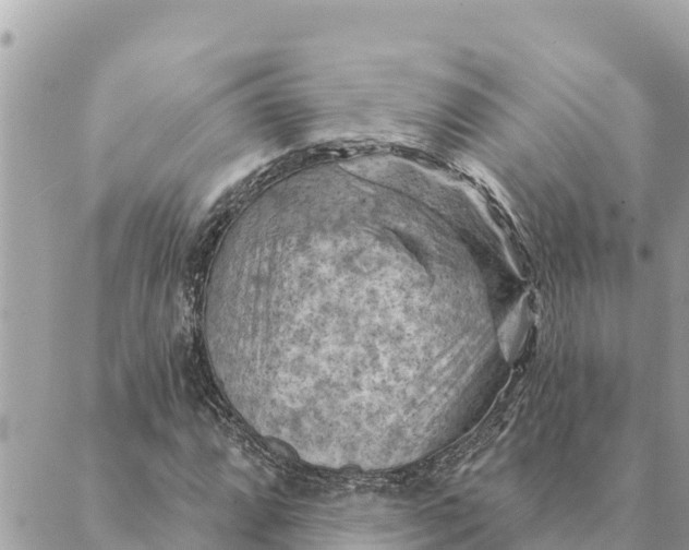 X0000088831064200706281750