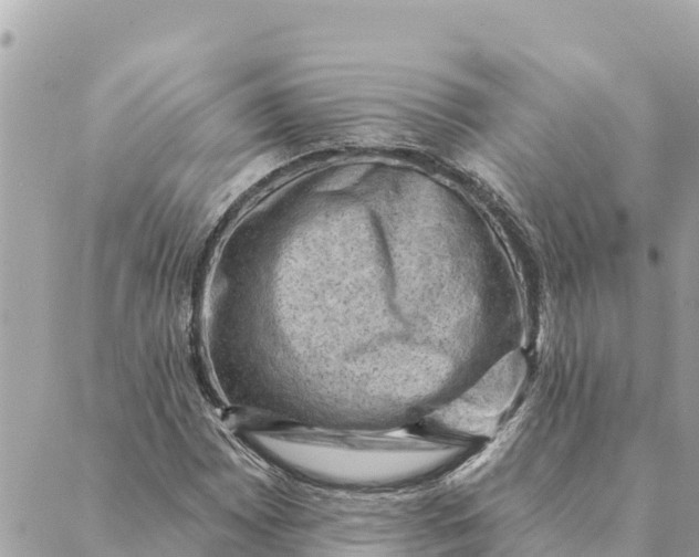 X0000088831065200706281750