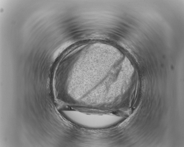 X0000088831066200706281750