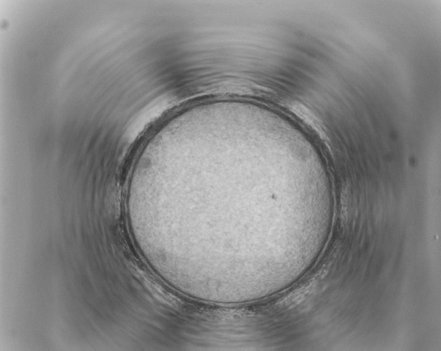 X0000088831067200706281750