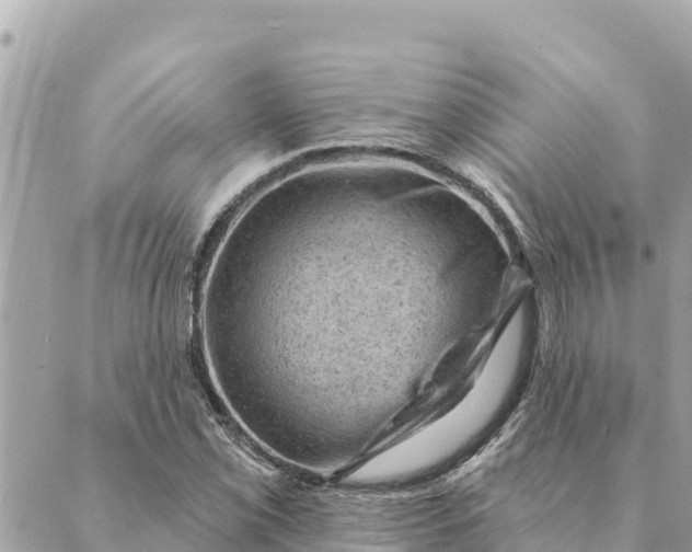 X0000088831069200706281750