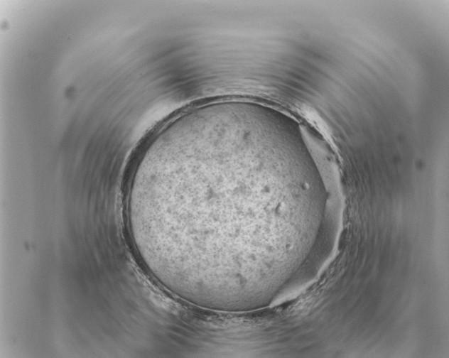 X0000088831072200706281750