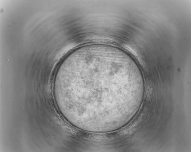 X0000088831074200706281750