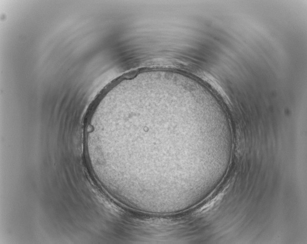 X0000088831075200706281750