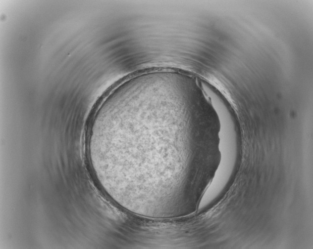 X0000088831076200706281750