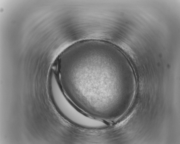 X0000088831077200706281750