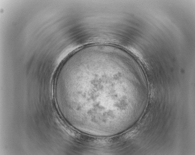 X0000088831078200706281750