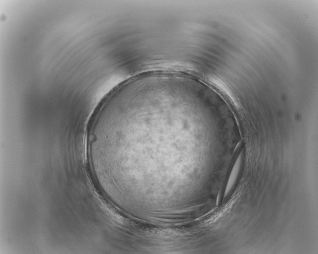 X0000088831079200706281750