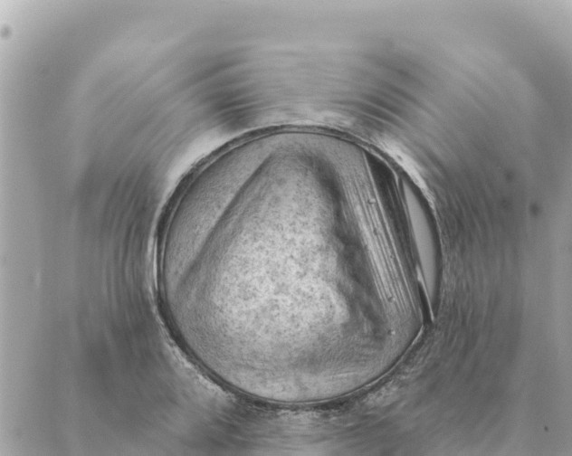 X0000088831080200706281750