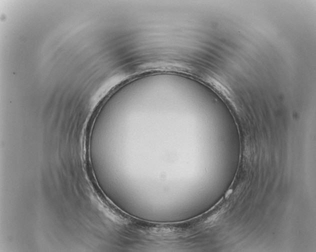 X0000088831082200706281750