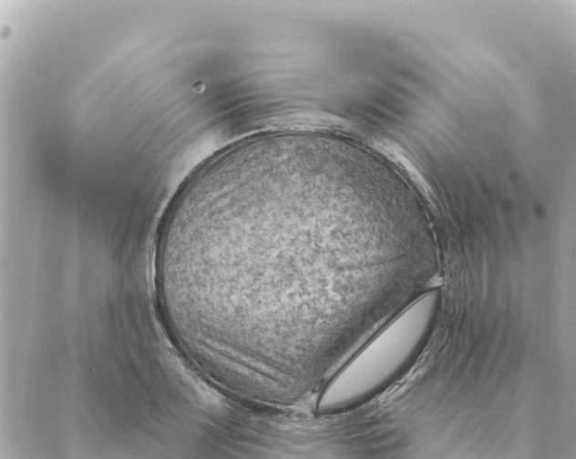 X0000088831083200706281750