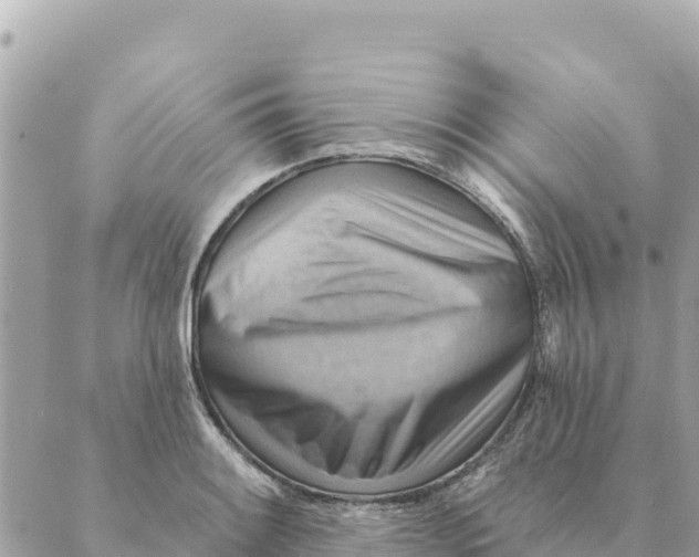 X0000088831084200706281750