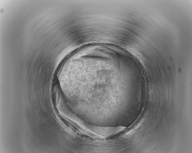 X0000088831085200706281750