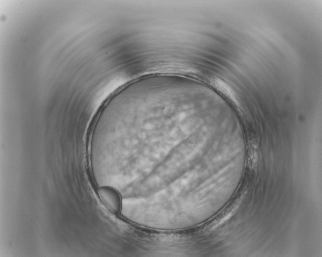 X0000088831087200706281750