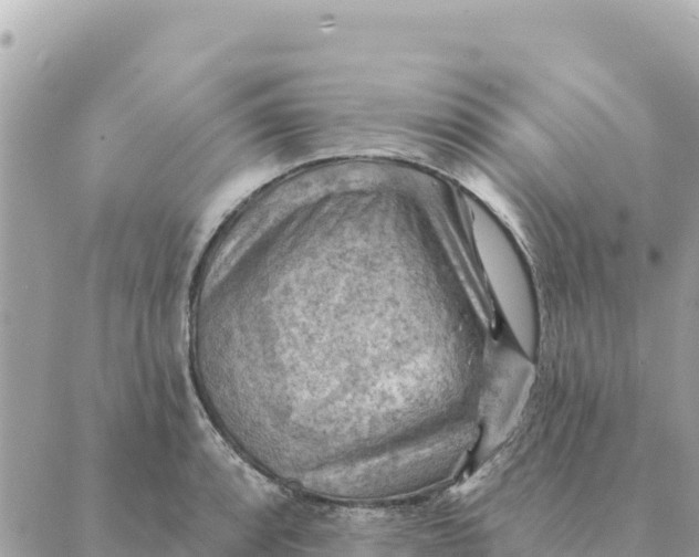 X0000088831088200706281750