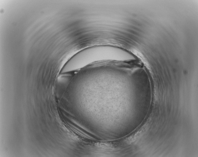 X0000088831089200706281750