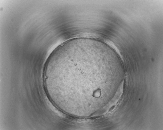 X0000088831091200706281750