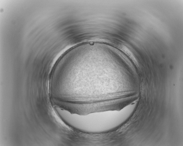 X0000088831092200706281750