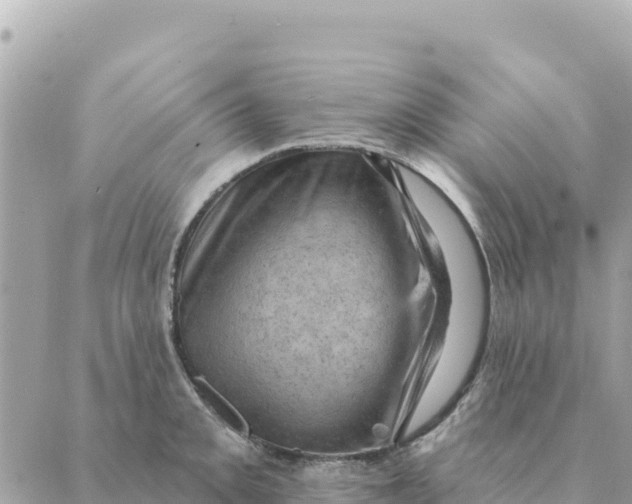 X0000088831093200706281750