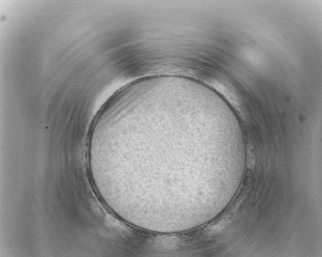 X0000088831094200706281750