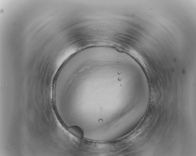 X0000088831095200706281750