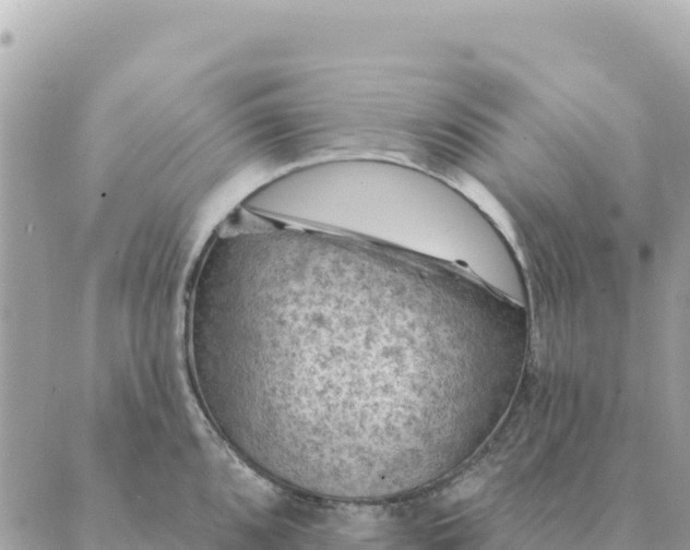 X0000088831096200706281750