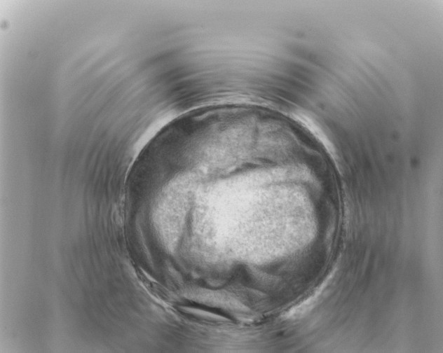 X0000088831097200706281750