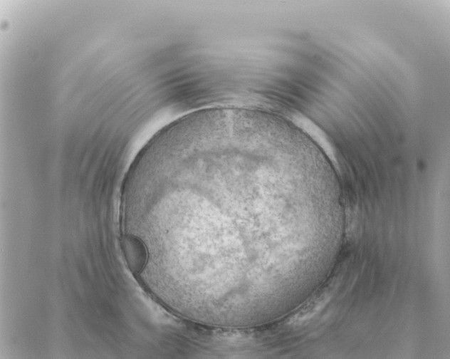 X0000088831099200706281750