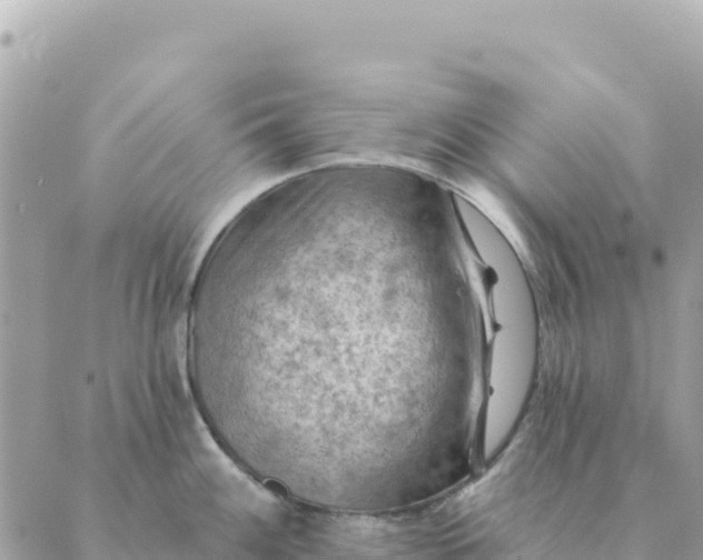 X0000088831100200706281749