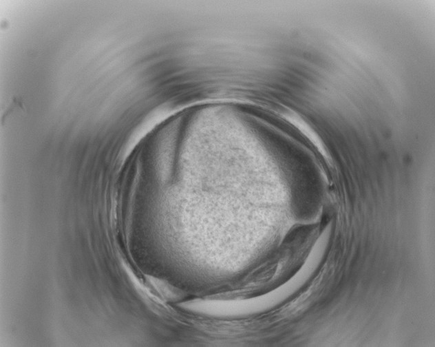 X0000088831101200706281749