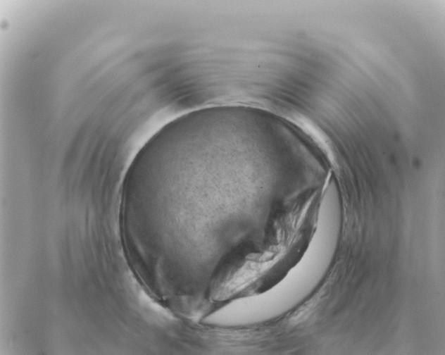 X0000088831102200706281749