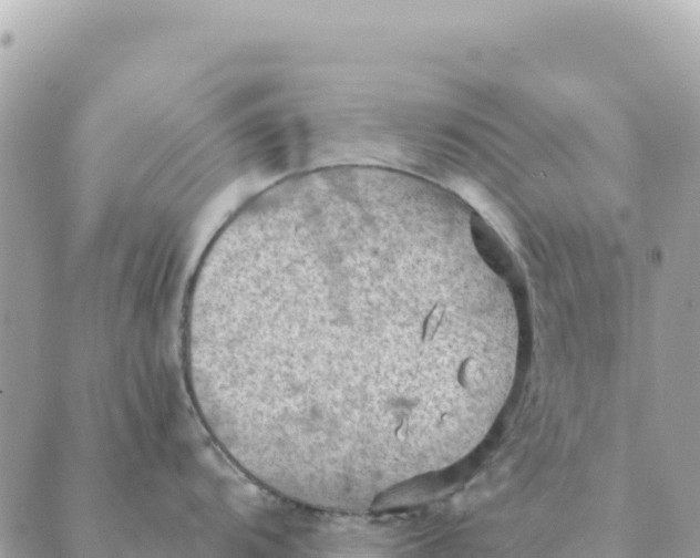 X0000088831104200706281749