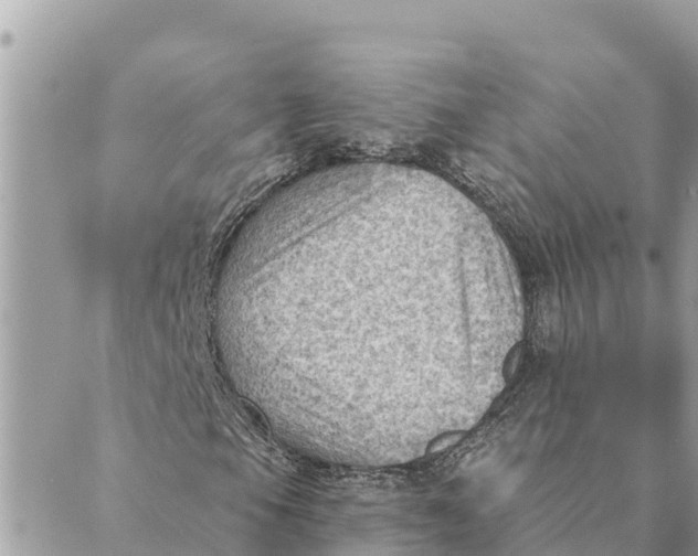 X0000088831105200706281749