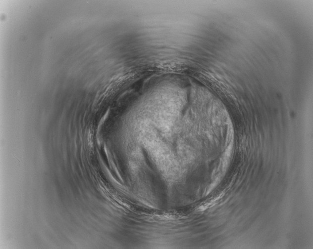 X0000088831106200706281749