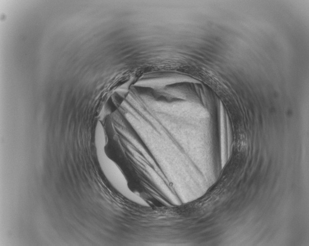 X0000088831108200706281749