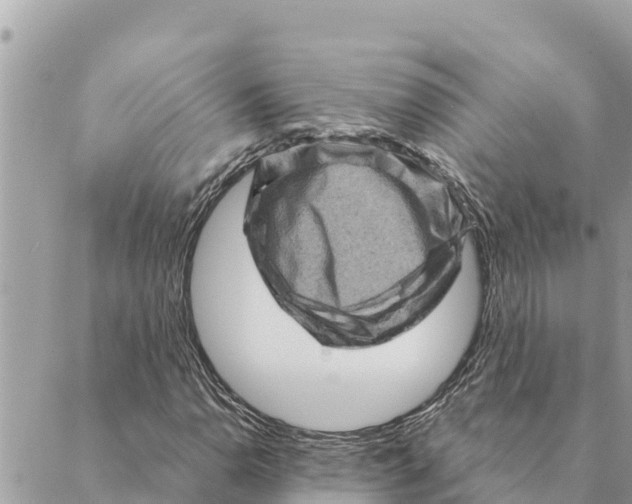 X0000088831110200706281749