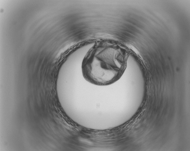 X0000088831112200706281749